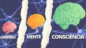 Cérebro, Mente e Consciência